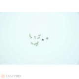 Samsung Galaxy S3 Screws Set